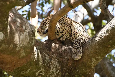 DSC_3958 (Large).JPG